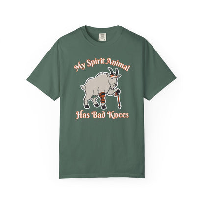 Spirit Animal Has Bad Knees T-Shirt In Blue Spruce / S Lightweight adventure tee for outdoor lovers Perfect for hiking camping or road trips Made from soft breathable cotton for all-day comfort Ideal for nature lovers and adventurers FAYO Threads outdoor apparel remember Fun Awaits You Outside