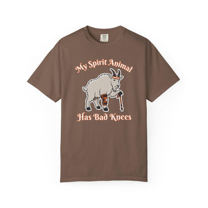 Spirit Animal Has Bad Knees T-Shirt In Espresso / S Lightweight adventure tee for outdoor lovers Perfect for hiking camping or road trips Made from soft breathable cotton for all-day comfort Ideal for nature lovers and adventurers FAYO Threads outdoor apparel remember Fun Awaits You Outside