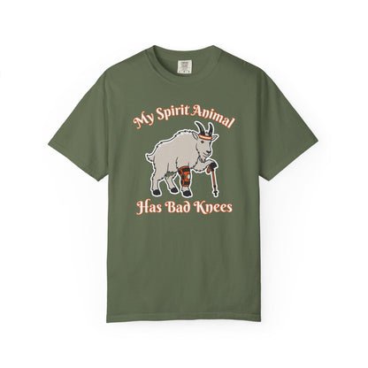 Spirit Animal Has Bad Knees T-Shirt In Sage / S Lightweight adventure tee for outdoor lovers Perfect for hiking camping or road trips Made from soft breathable cotton for all-day comfort Ideal for nature lovers and adventurers FAYO Threads outdoor apparel remember Fun Awaits You Outside