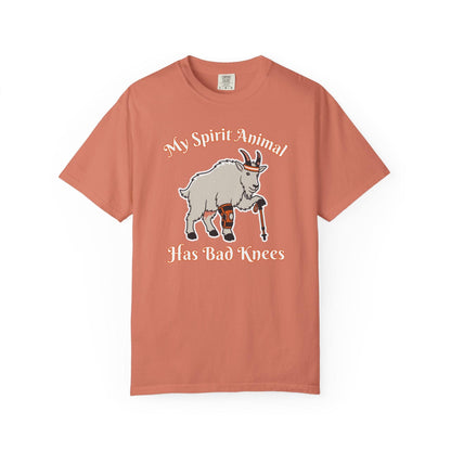 Spirit Animal Has Bad Knees T-Shirt In Terracotta / S Lightweight adventure tee for outdoor lovers Perfect for hiking camping or road trips Made from soft breathable cotton for all-day comfort Ideal for nature lovers and adventurers FAYO Threads outdoor apparel remember Fun Awaits You Outside
